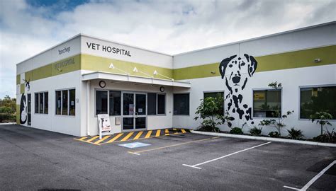 soma pet hospital|4th street vet hospital.